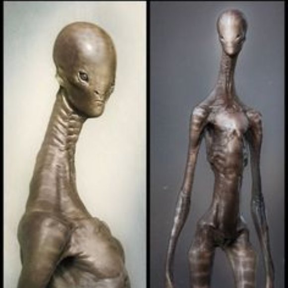 Meet your Posher, Lana - Picture 11 of 16